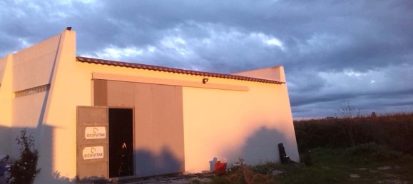 15000m² Land in Palmela, Portugal No. 95878 14