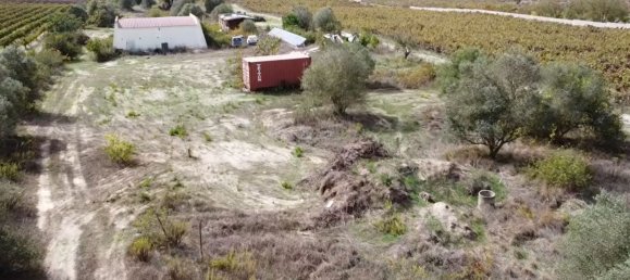 15000m² Land in Palmela, Portugal No. 95878 3