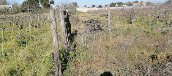 15000m² Land in Palmela, Portugal No. 95878 23