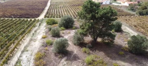 15000m² Land in Palmela, Portugal No. 95878 5