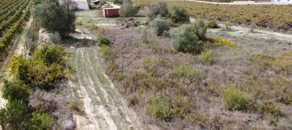 15000m² Land in Palmela, Portugal No. 95878 2