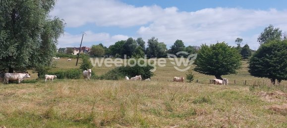 Casa de 4 dormitorios en Villers-sur-Auchy, France No. 250515 22