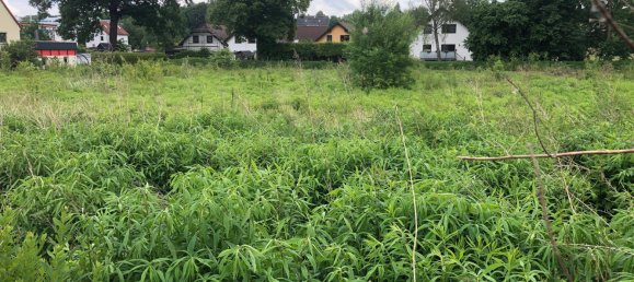 Grundstück in Mittelsachsen, Germany, Nr. 129068 2