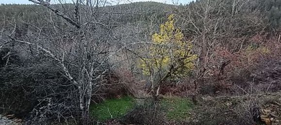 2 Schlafzimmer Haus in Figueiro dos Vinhos, Portugal, Nr. 33526 3