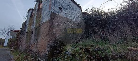 2 Schlafzimmer Haus in Figueiro dos Vinhos, Portugal, Nr. 33526 4