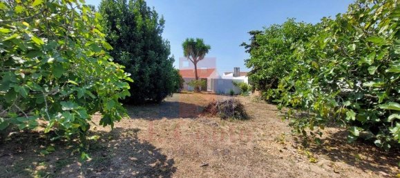 3 Schlafzimmer Haus in Alcobaca, Portugal, Nr. 215356 13