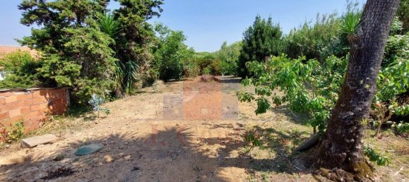 3 Schlafzimmer Haus in Alcobaca, Portugal, Nr. 215356 9