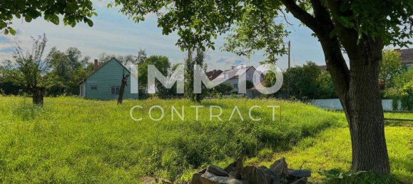  Land in Langenlois, Austria No. 159406 10