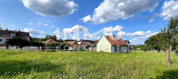  Land in Langenlois, Austria No. 159406 7