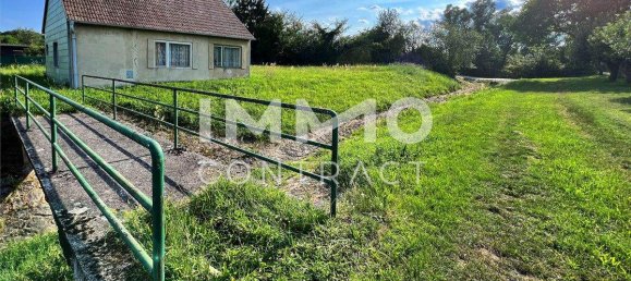  Land in Langenlois, Austria No. 159406 4