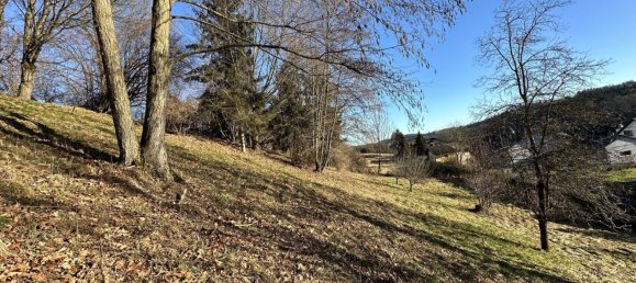  Land in Fernitz-Mellach, Austria No. 227132 2