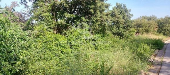 Terreno en Matadepera, Spain 2137 m² No. 85992 9