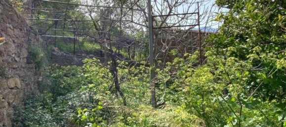 3 Schlafzimmer Villa in Belgodere, France, Nr. 101787 22