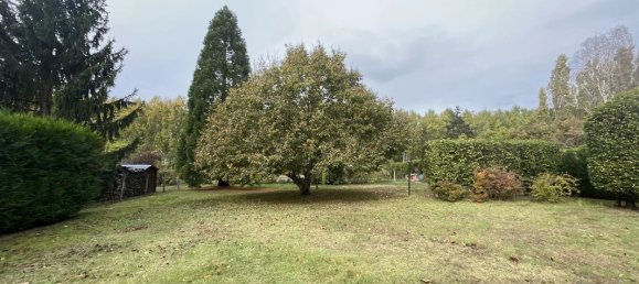 4 غرف نوم منزل في Saint-Laurent-Nouan, France رقم 84560 18