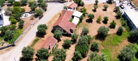 4 chambres Maison à Ourem, Portugal No. 93929 20