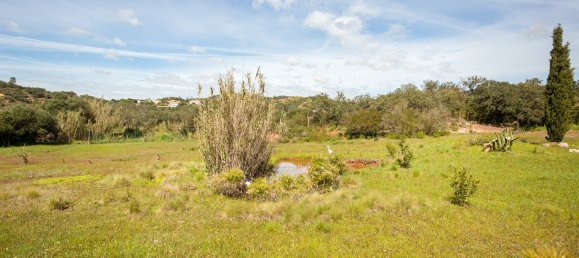 4 bedrooms Land in Loule, Portugal No. 119387 43