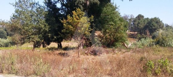 660m² Land in Oia, Portugal No. 93197 6