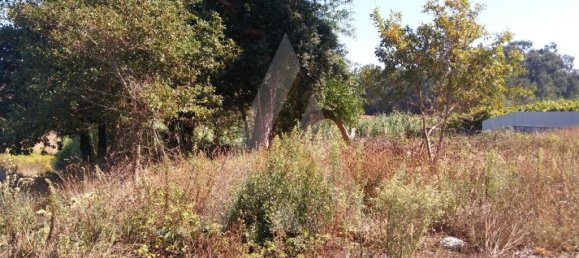 660m² Land in Oia, Portugal No. 93197 7