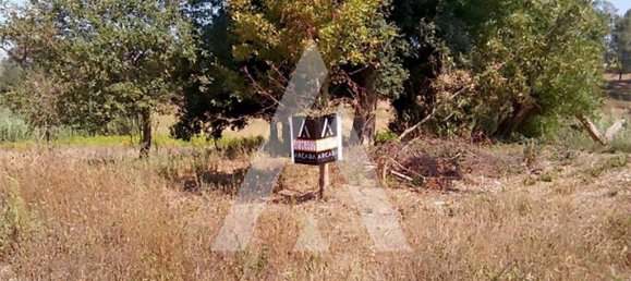 660m² Land in Oia, Portugal No. 93197 3