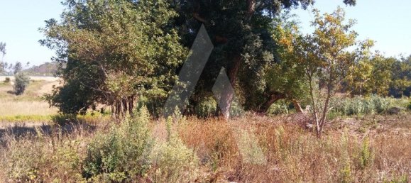 660m² Land in Oia, Portugal No. 93197 8