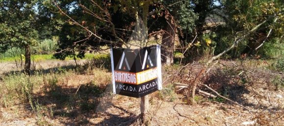 660m² Land in Oia, Portugal No. 93197 9