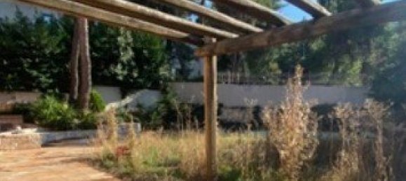 5 dormitorios propiedad comercial en venta en Drosia, Dionysos, East Attica, Attica, Greece № 3025 8