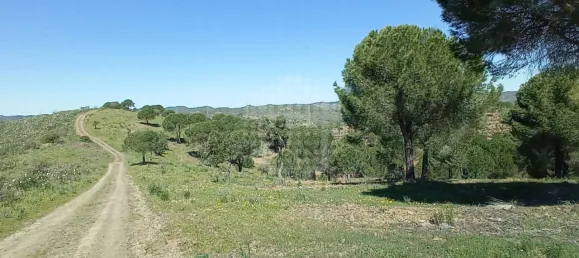 Terreno em São Bartolomeu de Messines, Portugal 360 m² N.º 10241 3