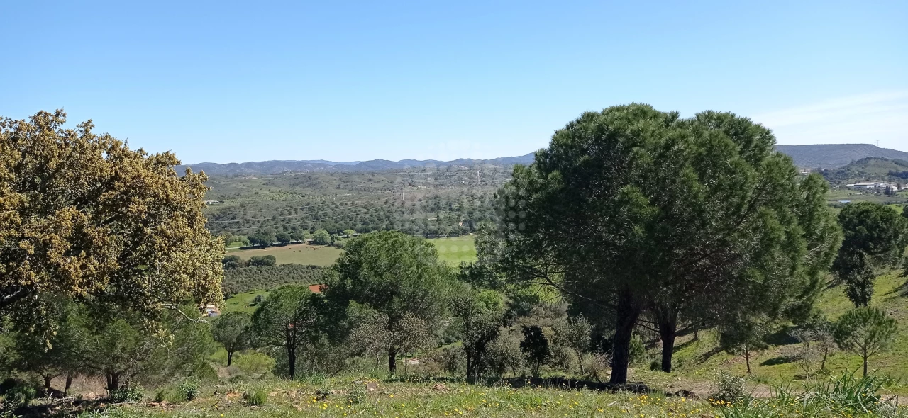 Terreno em São Bartolomeu de Messines, Portugal 360 m² N.º 10241