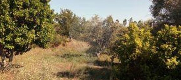 3 غرف نوم منزل في Sardoal, Portugal رقم 24168 14