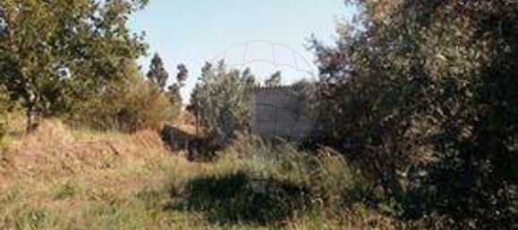 3 غرف نوم منزل في Sardoal, Portugal رقم 24168 15