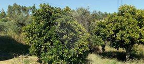 3 غرف نوم منزل في Sardoal, Portugal رقم 24168 11