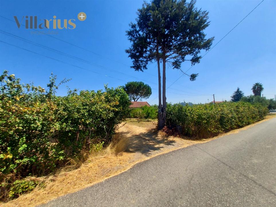 2 chambres Maison à Tomar, Portugal No. 291913