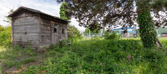 Terrain à Liesing, Austria No. 106622 10
