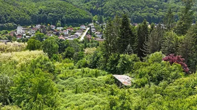  Land in Purkersdorf, Austria No. 53957