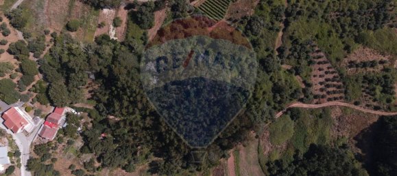 3 Schlafzimmer Haus in Alvaiazere, Portugal, Nr. 20715 16