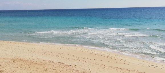 5 rooms Villa in Manduria, Italy No. 28007 46