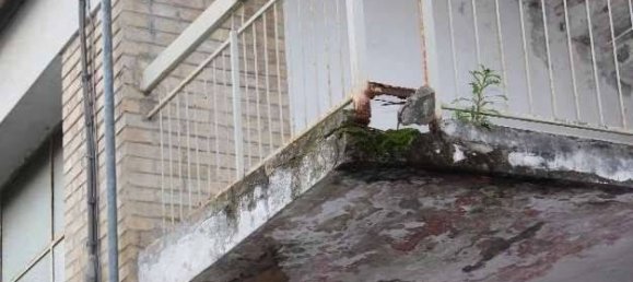 1-Zimmer Lagerhaus in Torre San Patrizio, Italy, Nr. 295547 6