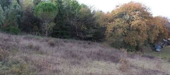 1-Zimmer Lagerhaus in Torre San Patrizio, Italy, Nr. 295547 11