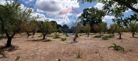Casa de 2 divisões em Ostuni, Italy N.º 278727 2