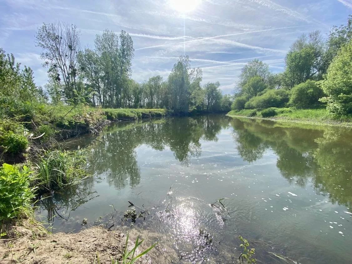 Grundstück in Saint-Hippolyte, France, Nr. 89842