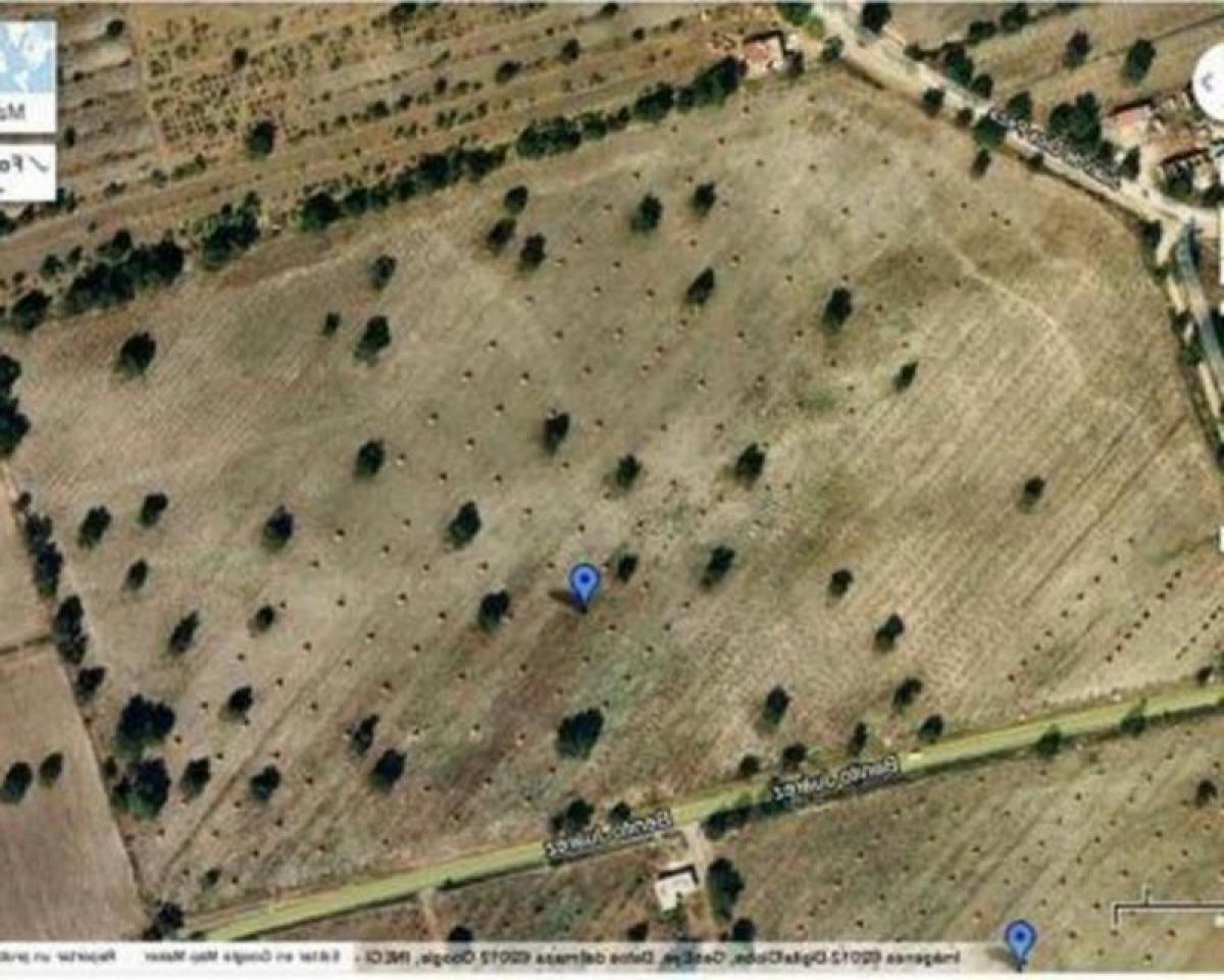  Land in Tecamac de Felipe Villanueva, Mexico No. 204345