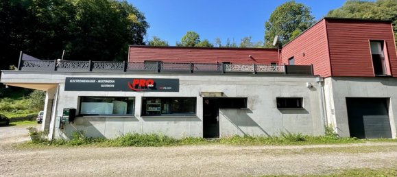 254m² Commercial property in Freland, France No. 221847 3