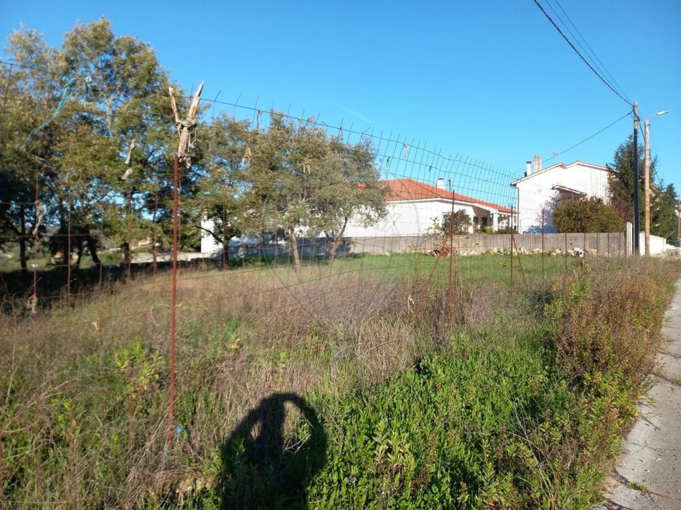 600m² Land in Avelar, Portugal No. 84694