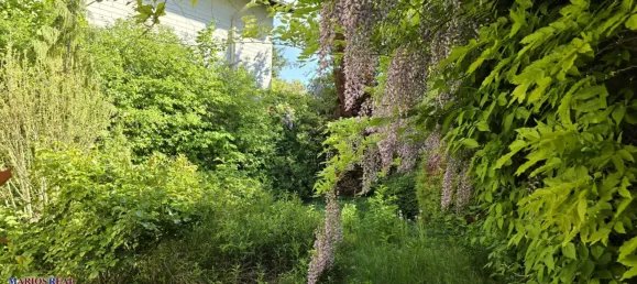 3غرفة منزل في Hietzing, Austria رقم 94521 14