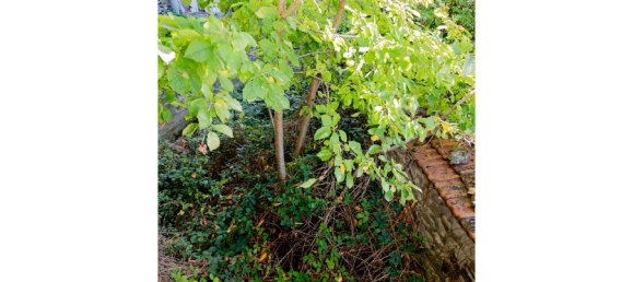 3-Zimmer Haus in Puy-de-Dome, France, Nr. 321837 9