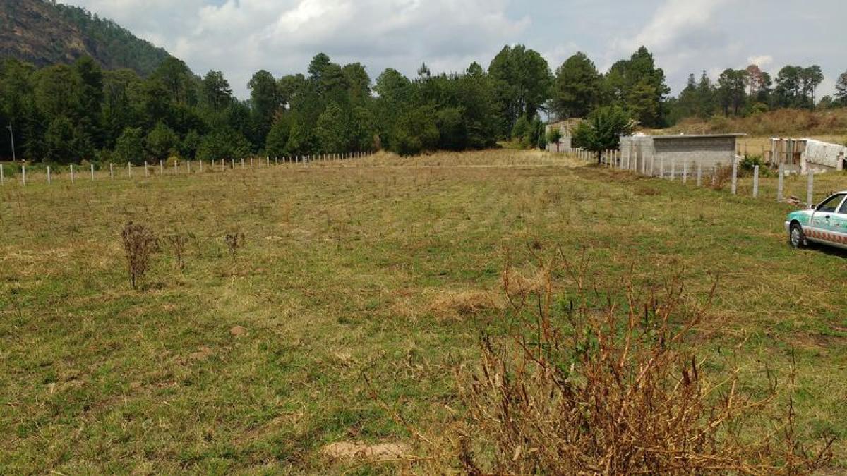 Terreno en Amanalco, Mexico No. 203954