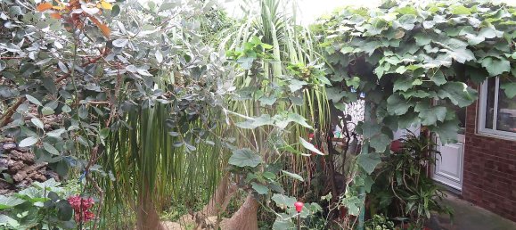 4 bedrooms House in Lagoa, Portugal No. 46784 20