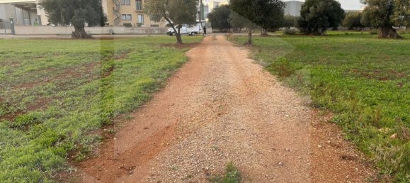 Terreno en Fasano, Italy No. 21656 5