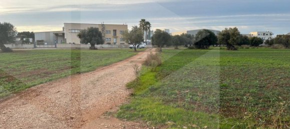 Terreno en Fasano, Italy No. 21656 10