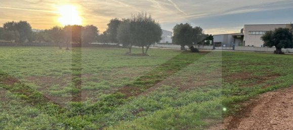 Terreno en Fasano, Italy No. 21656 2